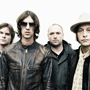 the verve